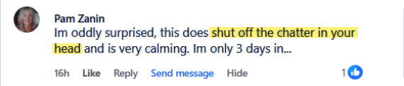 Pam Zanin review: does shut off the chatter in your head
